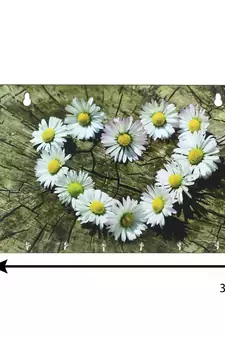 Floral Theme Wooden Key Holder with 6 Hooks