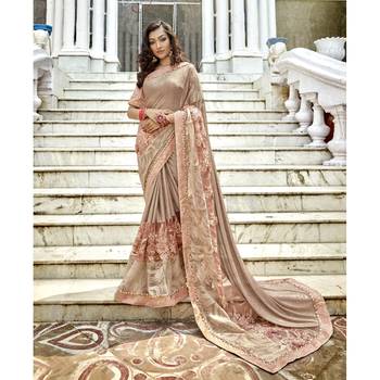 Beige embroidered lycra saree with blouse 1