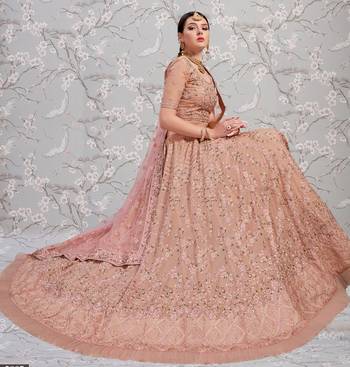 Baby Pink Thread Embroidered Georgette Semi Stitched wedding lehenga for Bridal 2
