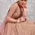 Baby Pink Thread Embroidered Georgette Semi Stitched wedding lehenga for Bridal