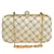 Tulle Embroidered & Embellished Faux Silk Clutch Off-White & Gold