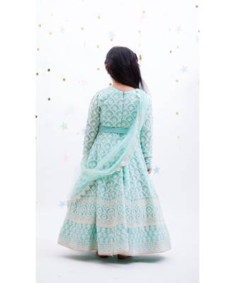 Blue Luckhnawi Anarkali 2
