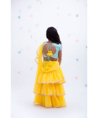 Yellow Embroidered Fusion Saree 2