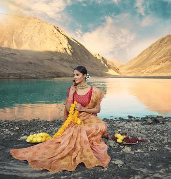 Peach Embroidered Raw Silk Saree With Blouse 2