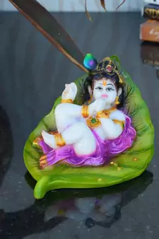 Synthetic Laddu Gopal on Green Leaf