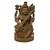 Goddess Saraswati Playing Sitar on Lotus