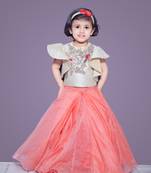 Bird Embroidered Chanderi Ghaghra