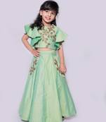 Leaf Embroidered Lehnga