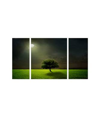 Set of 3 Radha Krishna Premium Canvas Painting 1