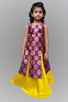 Girl Bit And Yellow Indo Western Gown