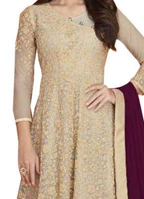 Beige Embroidered Net Salwar 2