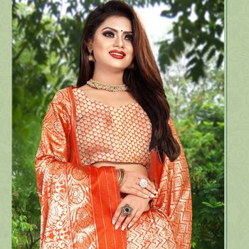 Orange woven banarasi silk saree with blouse 2