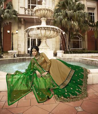 Dark Beige Embroidered Satin Salwar 2