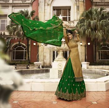 Dark Beige Embroidered Satin Salwar 3
