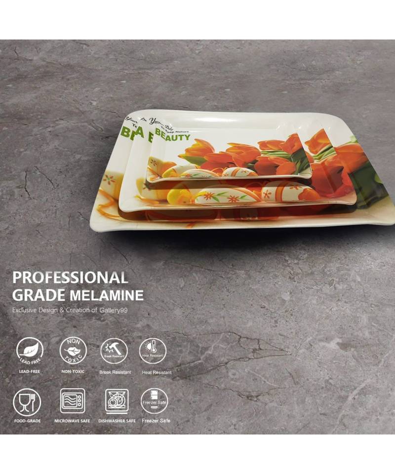 Ferrari Nature Beauty High Grade Melamine Serving Plates