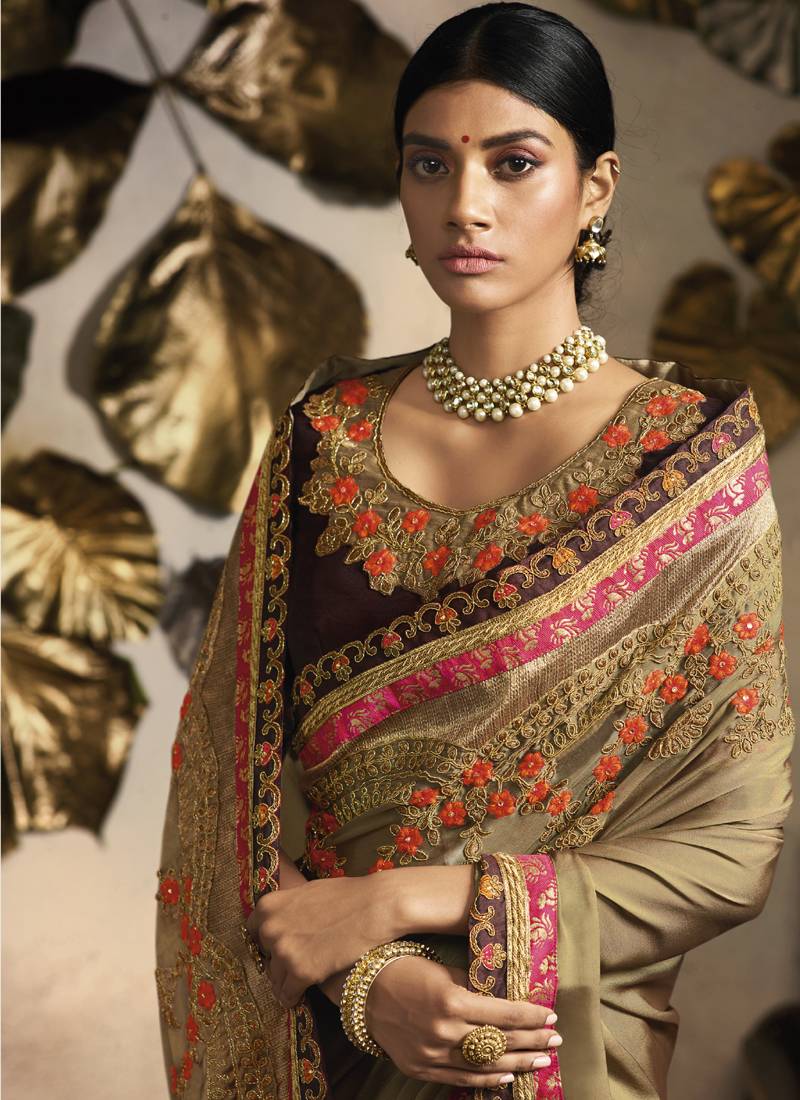 Beige Rangoli Silk Embroidered Saree Vasu Sarees 3090663
