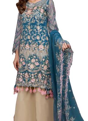 Blue Embroidered Net Salwar 2