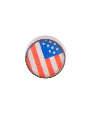 Royal Stud American Flag Earring 2