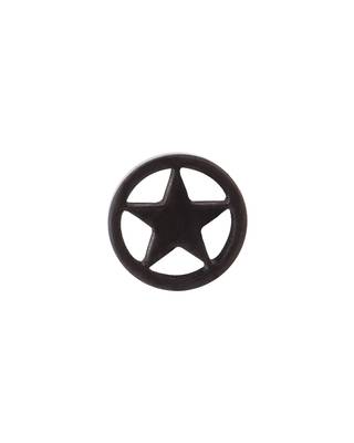 Royal Stud Star Motif Earring 2