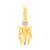 Spiritual Saga Lord Shiva Trishul And Tilak Pendant With Chain