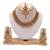 Golden choker necklace set with maang tikka