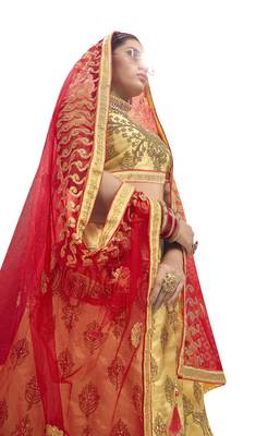 Beige Embroidered Art Silk Semi Stitched Lehenga 2