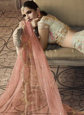 Light Grey Bridal Net Lehenga Choli 4