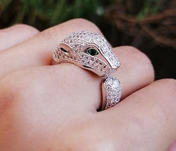 Silver rings 1