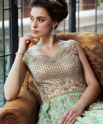 Sky-blue embroidered net salwar 3