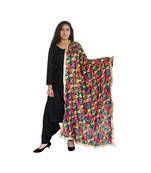 Multi-Coloured Embroidery Pankha Dupatta