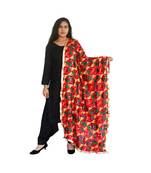 Multi-Coloured Embroidery Pankha Dupatta