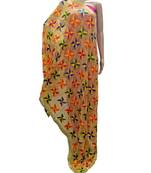 multicolor Phulkari Pankha Dupatta