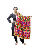 Multi Coloured Phulkari Bagh