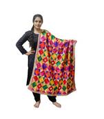 Multi Coloured Phulkari Bagh with Mirror Work