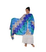 multicolor Phulkari Bagh Dupatta