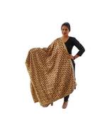Beige Brown Phulkari Bagh