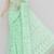 Seagreen Color, Allover Jaal Heavy Palla Hand Embroidered Lucknowi Chikankari Saree