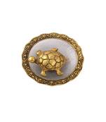 Tortiose on glass plate gold Plated in Metal