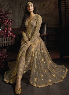 Beige Net Pakistani Salwar Kameez 2