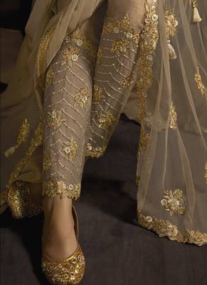 Beige Net Pakistani Salwar Kameez 4