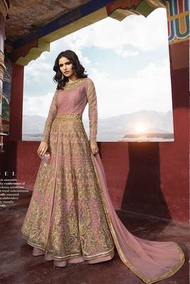 Pink Embroidered Net Semi Stitched Salwar With Dupatta 2