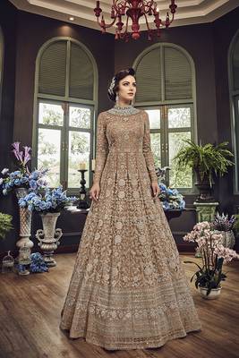 Brown Embroidered Net Semi Stitched Salwar With Dupatta 1