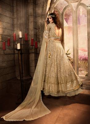 Beige embroidered net semi stitched lehenga 2
