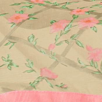 Tan embroidered chanderi silk salwar 4