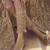 Blush Pink Golden Slit Anarkali Lehenga Suit