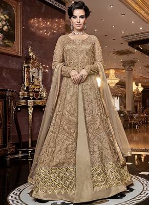 Beige Net Pakistani Salwar Kameez 1