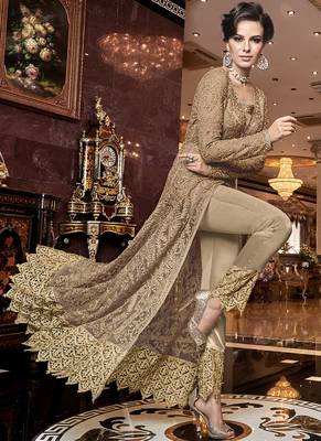 Beige Net Pakistani Salwar Kameez 2