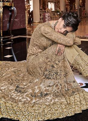 Beige Net Pakistani Salwar Kameez 3