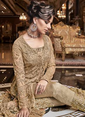 Beige Net Pakistani Salwar Kameez 4