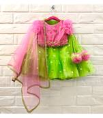 Green Net Embroidered Skirt With Hand Embroidered Blouse